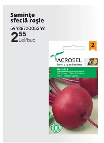 Brico Depôt Seminţe sfeclă roşie Ofertă