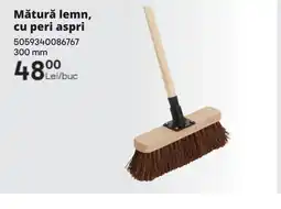 Brico Depôt Mătură lemn, cu peri aspri Ofertă