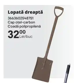 Brico Depôt Lopată dreaptă Ofertă