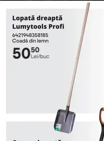 Brico Depôt Lopată dreaptă Lumytools Profi Ofertă