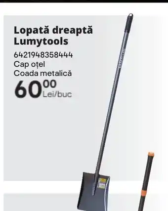 Brico Depôt Lopată dreaptă Lumytools Ofertă