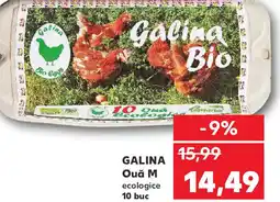 Kaufland GALINA Ouǎ M Ofertă