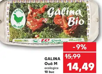 Kaufland GALINA Ouǎ M Ofertă