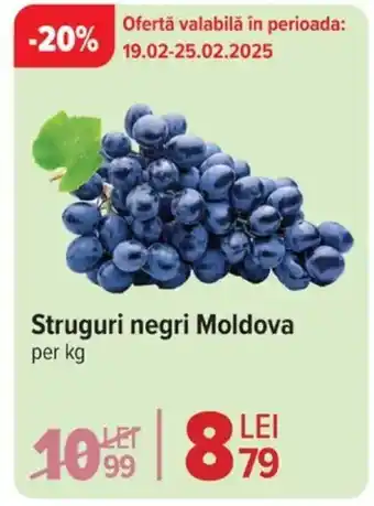 Carrefour Market Struguri negri Moldova Ofertă