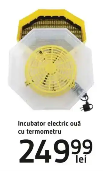 Supeco Incubator electric ouǎ cu termometru Ofertă