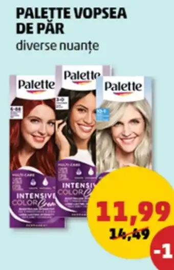 Penny Palette vopsea de pår Ofertă