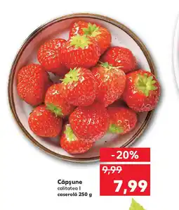 Kaufland Căpşune Ofertă