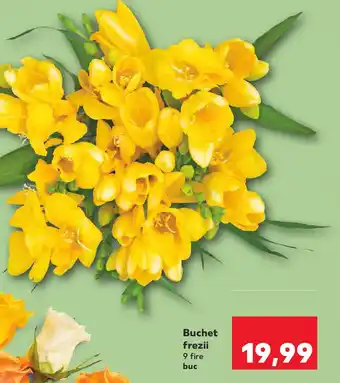 Kaufland Buchet frezii Ofertă