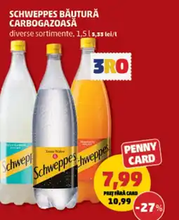 Penny SCHWEPPES Băutură carbogazoasă Ofertă