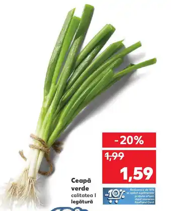 Kaufland Ceapă verde Ofertă