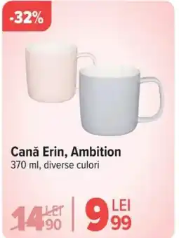 Carrefour Canǎ Erin, Ambition Ofertă