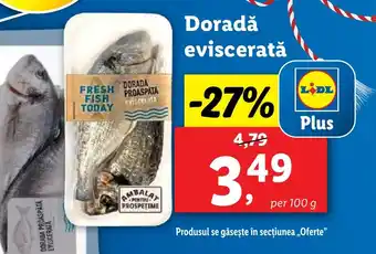 Lidl Doradǎ eviscerată Ofertă