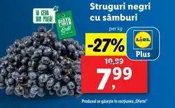 Lidl Struguri negri cu sâmburi Ofertă