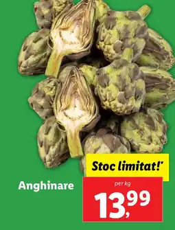 Lidl Anghinare Ofertă
