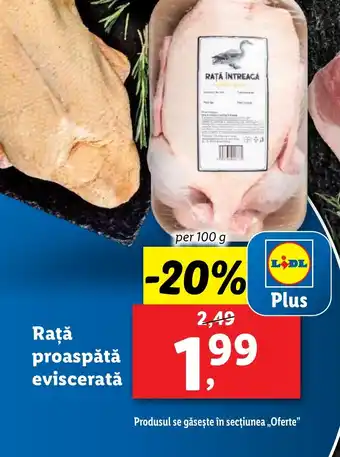 Lidl Raţă proaspătă evisceratǎ Ofertă