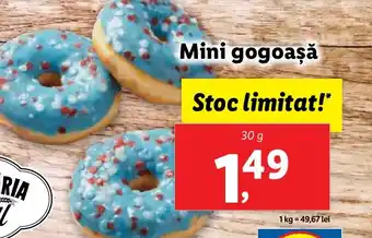 Lidl Mini gogoaşă Ofertă