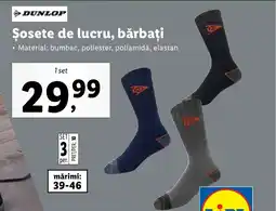 Lidl Şosete de lucru, bărbați Ofertă