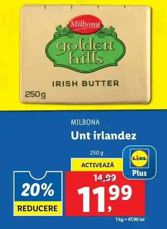 Lidl MILBONA Unt irlandez Ofertă