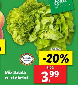 Lidl Mix Salată cu rădăcină Ofertă