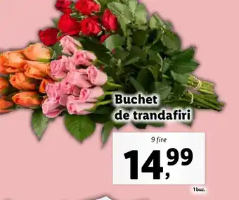 Lidl Buchet de trandafiri Ofertă