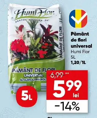 PROFI Pământ de flori universal Humi Flor Ofertă