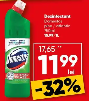 PROFI Dezinfectant Domestos pine / atlantic Ofertă