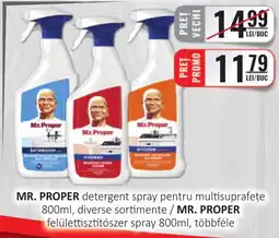 CBA MR. PROPER detergent spray pentru multisuprafeţe Ofertă