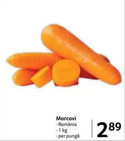 Selgros Morcovi Ofertă