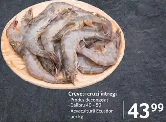 Selgros Creveţi cruzi întregi Ofertă