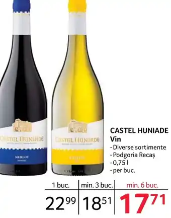 Selgros CASTEL HUNIADE Vin Ofertă