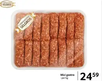 Selgros Mici gastro Ofertă