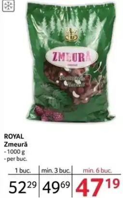 Selgros ROYAL Zmeurǎ Ofertă