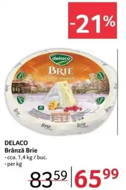 Selgros DELACO Brânză Brie Ofertă