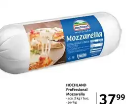 Selgros HOCHLAND Professional Mozzarella Ofertă