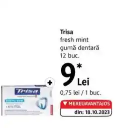 DM TRISA fresh mint gumă dentară Ofertă