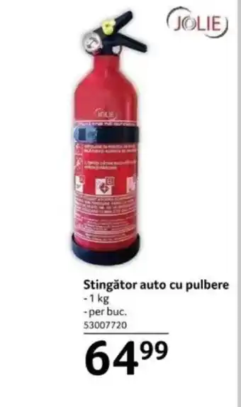 Selgros Stingător auto cu pulbere Ofertă