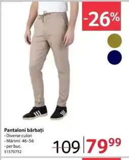 Selgros Pantaloni bărbați Ofertă