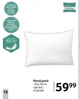 Selgros Pernǎ panǎ Ofertă