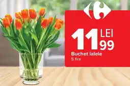 Carrefour Buchet lalele Ofertă