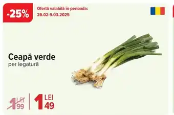 Carrefour Ceapă verde Ofertă