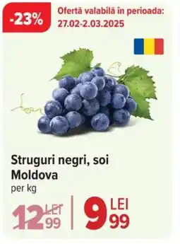 Carrefour Struguri negri, soi Moldova Ofertă