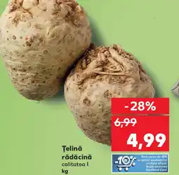 Kaufland Ţelină rădăcină Ofertă