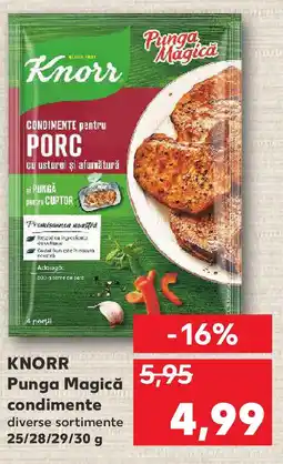 Kaufland KNORR Punga Magică condimente Ofertă