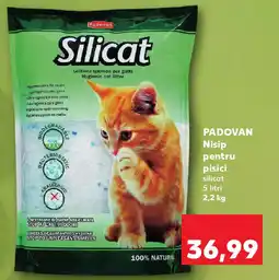 Kaufland PADOVAN Nisip pentru pisici Ofertă