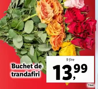 Lidl Buchet de trandafiri Ofertă