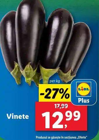 Lidl Vinete Ofertă