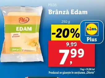 Lidl PILOS Brânză Edam Ofertă