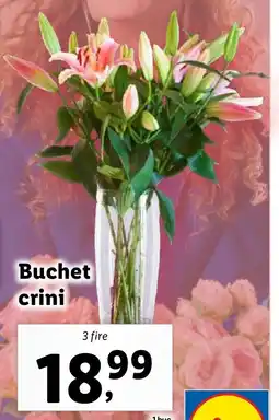 Lidl Buchet crini Ofertă