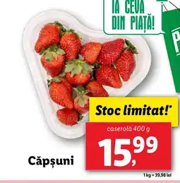 Lidl Căpşuni Ofertă