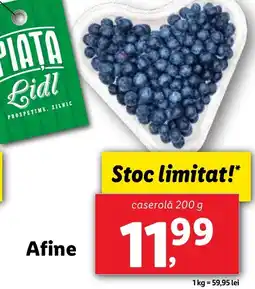 Lidl Afine Ofertă